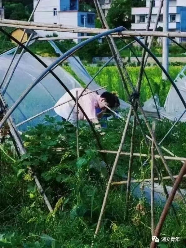 41a015b5266823a080a1c4e4a2e75be.jpg 41a015b5266823a080a1c4e4a2e75be.jpg