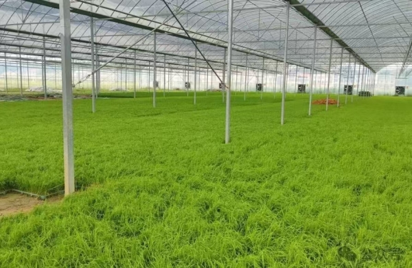 ebbb42546c6d671cc7a61e6e09ea500.jpg ebbb42546c6d671cc7a61e6e09ea500.jpg